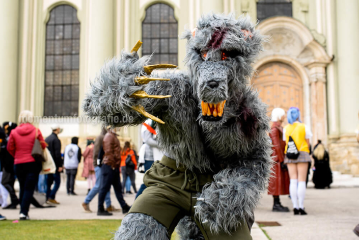 Animuc 2019 | Portraitfotos und Sportfotografie Stefan Mauermann, München